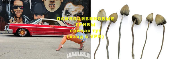 каннабис Алексеевка