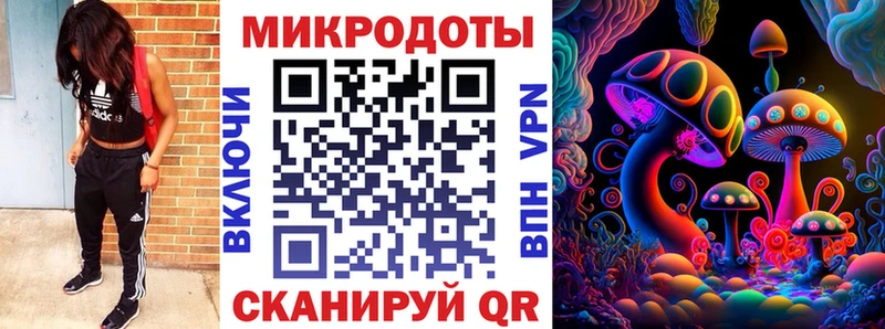 магазин продажи наркотиков  OMG как войти  Псилоцибиновые грибы прущие грибы  Бокситогорск 